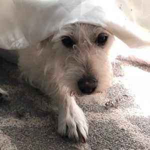 Meet your Posher, Joan